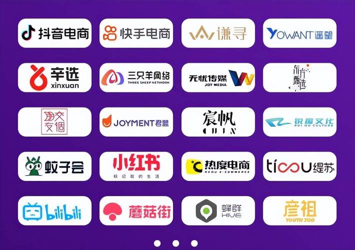 国内著名电商网站有哪些？-图2