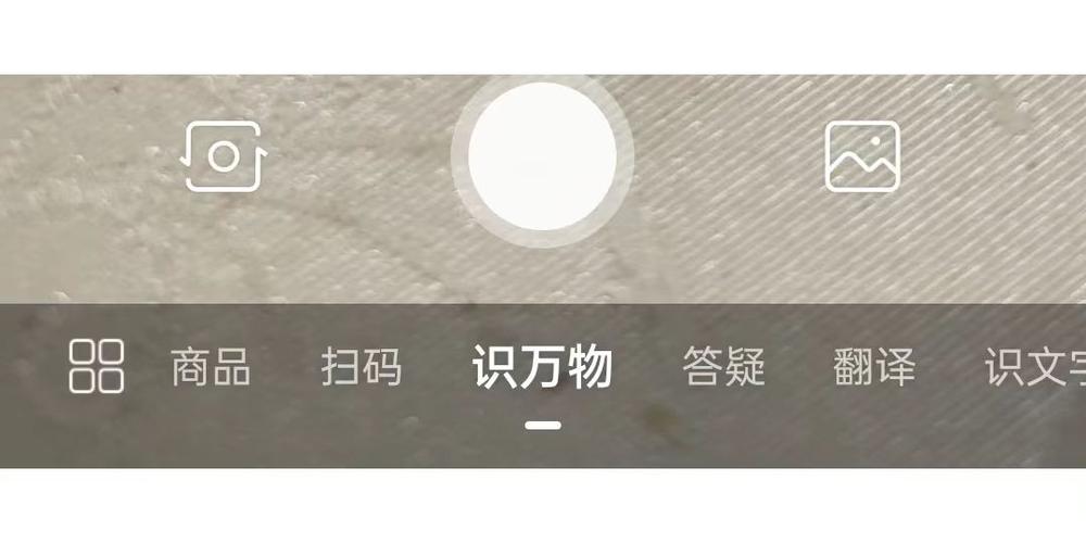 百度快照如何直接进网站?-图1 百度快照如何直接进网站?-图1