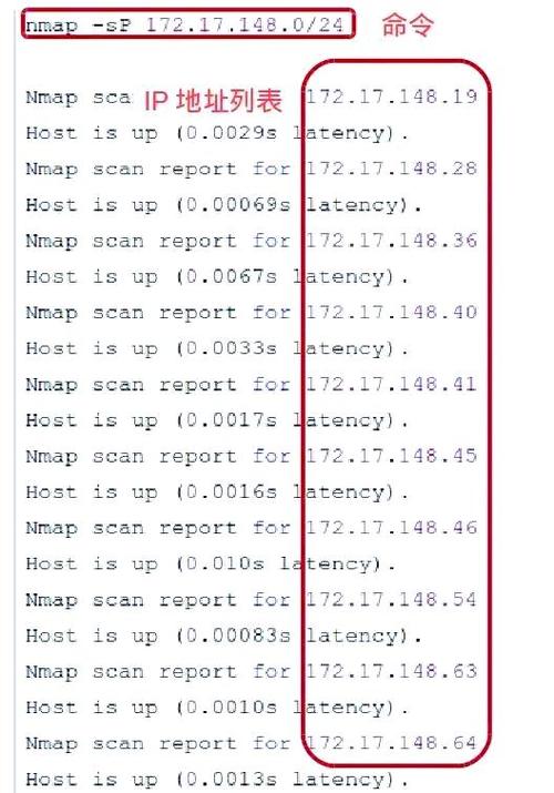 Java获取服务器IP地址有哪些方法?-图1 Java获取服务器IP地址有哪些方法?-图1