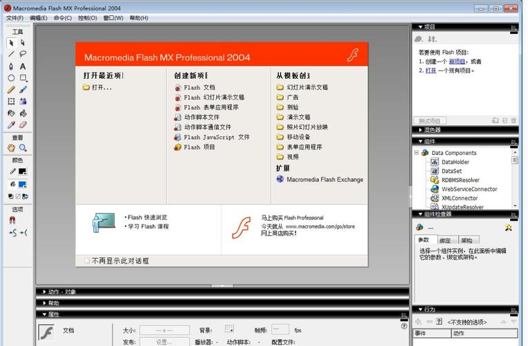 Flash网站源码哪里获取？-图2