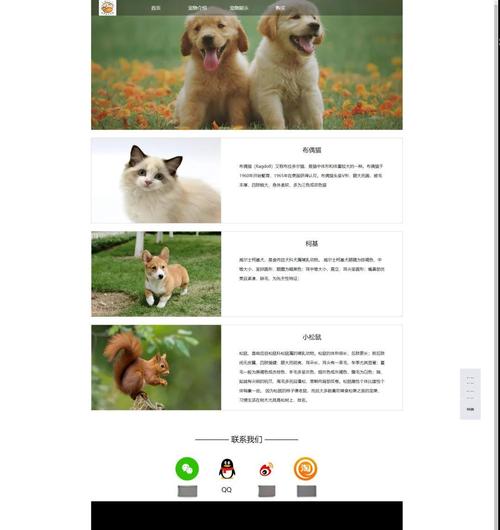 网站模板下载html，哪里能找到优质模板？-图1