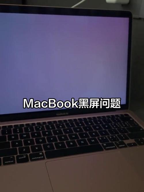 苹果电脑桌面图标怎么突然不见了？-图2