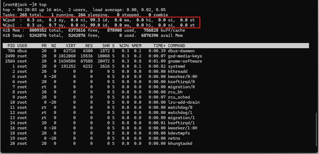 Linux服务器CPU如何查看？-图2