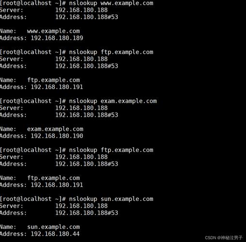 Linux服务器如何安装DNS？-图2