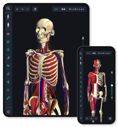 3dbody解剖电脑版怎么用？-图1