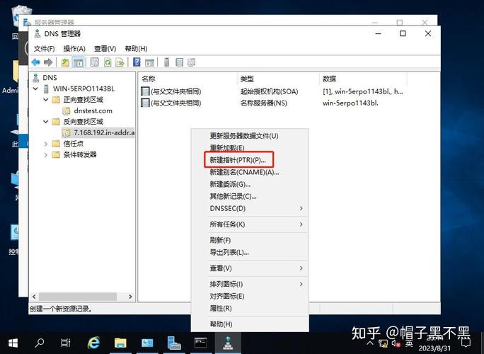 2008 DNS服务器搭建步骤详解？-图1