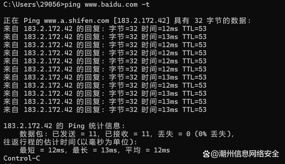 主DNS服务器ping测试如何操作？-图2