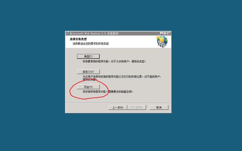 如何在VS2010中配置Web服务器？-图3