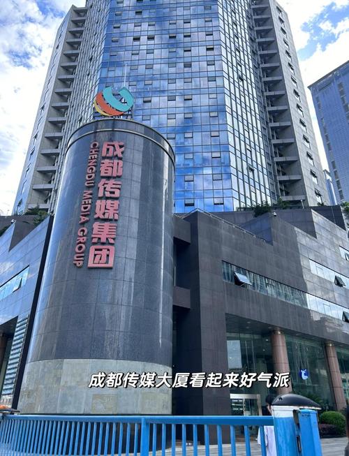 成都多享网站建设，专业可靠吗？-图2