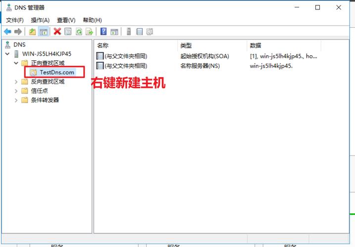 Linux如何配置DNS服务器？-图1