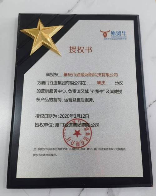 专业外贸网站推广团队如何有效提升海外客户？-图2