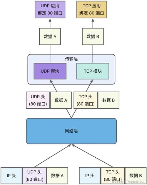 UDP与TCP服务器，核心差异与应用场景如何选？-图1