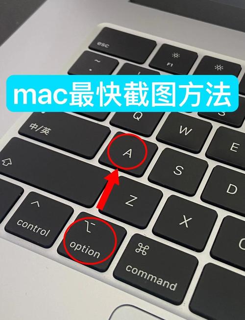 电脑截图快捷键是什么？-图1